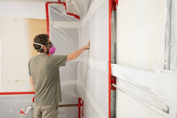 Best Mold Damage Restoration  in Amity Gardens, PA