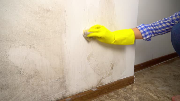 Best Residential Mold Inspection & Testing  in Amity Gardens, PA